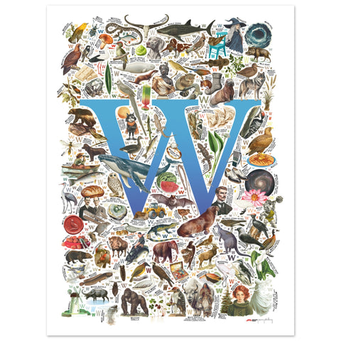 "W is for Wonder" — a Renard Roux alphabet poster with English W words (blue version)