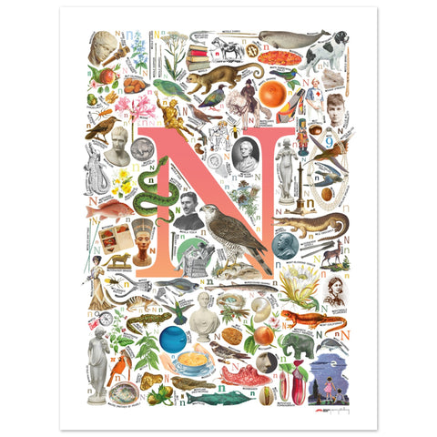 "N is for Nature" — a Renard Roux alphabet poster with English N words (red version)