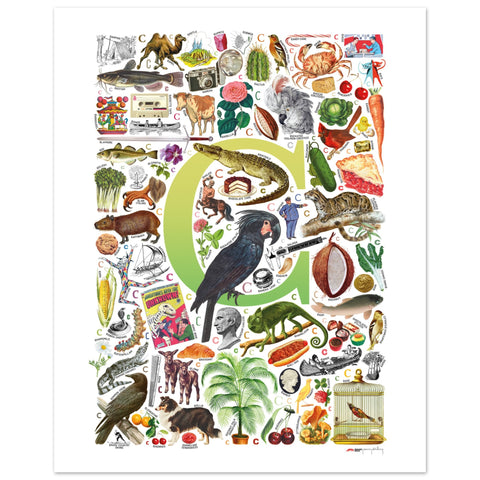 "C is for Curious" — a Renard Roux alphabet poster with English C words (chartreuse version)