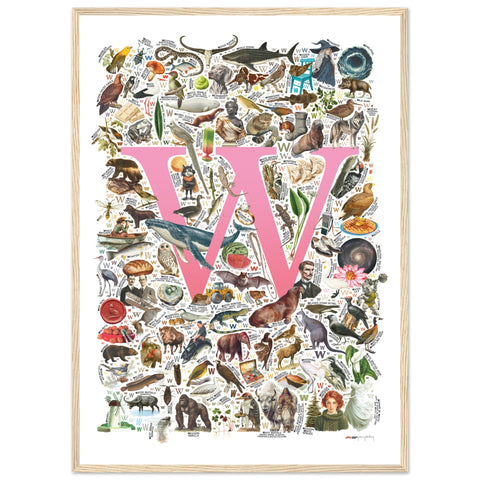 "W is for Wonder" — a Renard Roux alphabet poster with English W words (pink version)