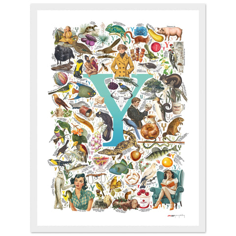 "Y is for Yonder" — a Renard Roux alphabet poster with English Y words (turquoise version)