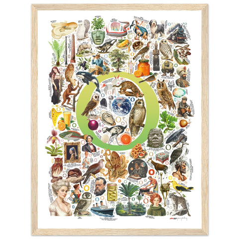 "O is for Original" — a Renard Roux alphabet poster with English O words (chartreuse version)