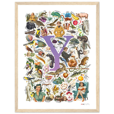 "Y is for Yonder" — a Renard Roux alphabet poster with English Y words (purple version)