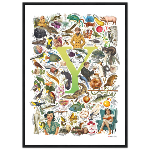 "Y is for Yonder" — a Renard Roux alphabet poster with English Y words (chartreuse version)