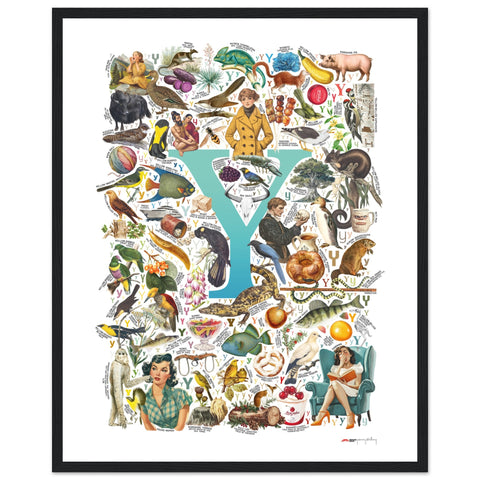 "Y is for Yonder" — a Renard Roux alphabet poster with English Y words (turquoise version)