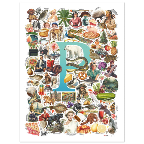 "P is for Pioneer" — a Renard Roux alphabet poster with English P words (turquoise version)