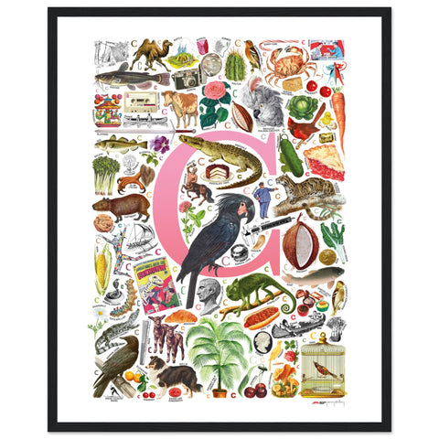 "C is for Curious" — a Renard Roux alphabet poster with English C words (pink version)