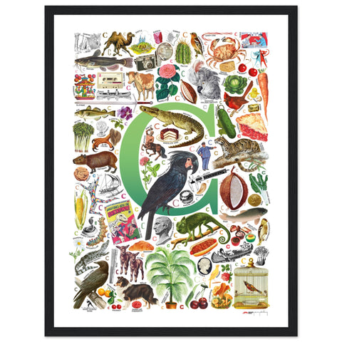 "C is for Curious" — a Renard Roux alphabet poster with English C words (green version)