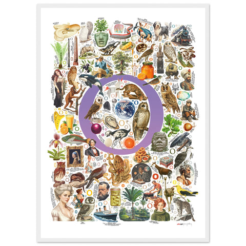 "O is for Original" — a Renard Roux alphabet poster with English O words (purple version)