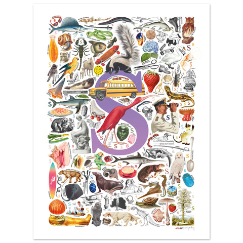 "S is for Surprise" — a Renard Roux alphabet poster with English S words (purple version)