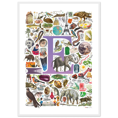"E is for Explore" — a Renard Roux alphabet poster with English E words (purple version)
