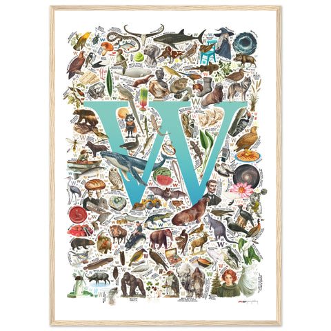 "W is for Wonder" — a Renard Roux alphabet poster with English W words (turquoise version)