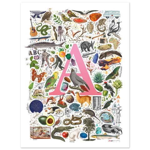 "A is for Adventure" — a Renard Roux alphabet poster with English A words (pink version)