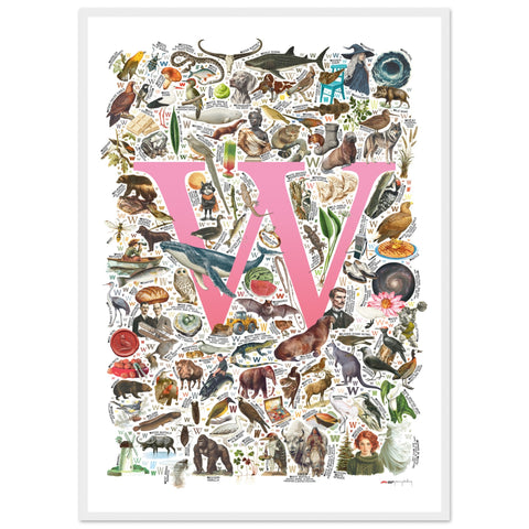 "W is for Wonder" — a Renard Roux alphabet poster with English W words (pink version)