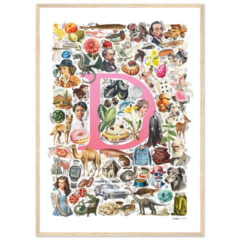 "D is for Discovery" — a Renard Roux alphabet poster with English D words (pink version)