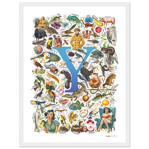 "Y is for Yonder" — a Renard Roux alphabet poster with English Y words (blue version)