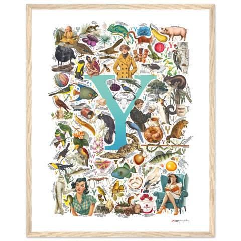 "Y is for Yonder" — a Renard Roux alphabet poster with English Y words (turquoise version)