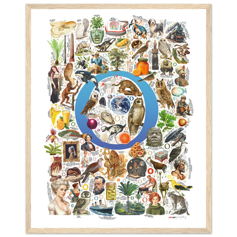 "O is for Original" — a Renard Roux alphabet poster with English O words (blue version)