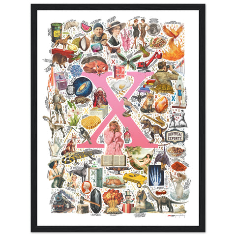 "X is for Xanadu" — a Renard Roux alphabet poster with English X words (pink version)
