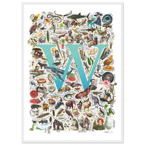 "W is for Wonder" — a Renard Roux alphabet poster with English W words (turquoise version)