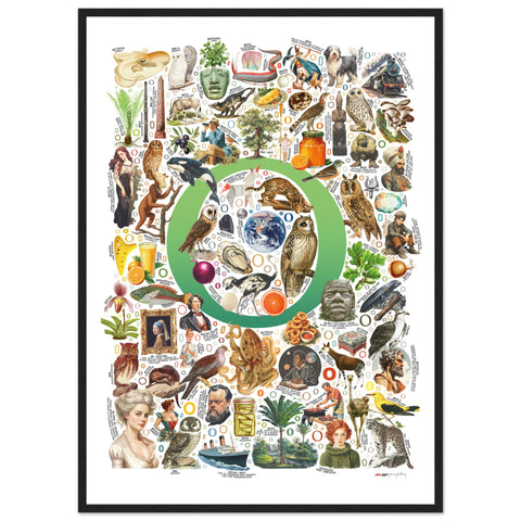 "O is for Original" — a Renard Roux alphabet poster with English O words (green version)