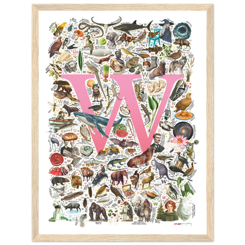 "W is for Wonder" — a Renard Roux alphabet poster with English W words (pink version)