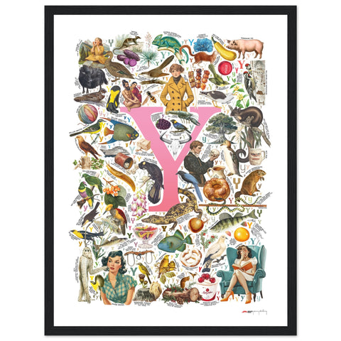 "Y is for Yonder" — a Renard Roux alphabet poster with English Y words (pink version)