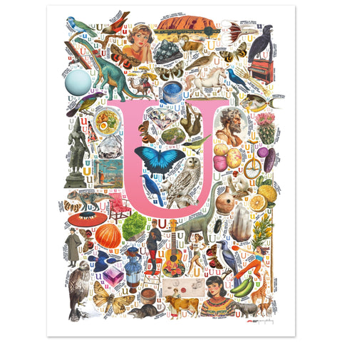"U is for Unique" — a Renard Roux alphabet poster with English U words (pink version)