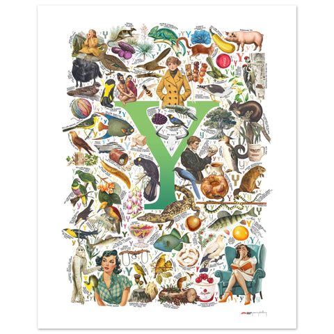 "Y is for Yonder" — a Renard Roux alphabet poster with English Y words (green version)