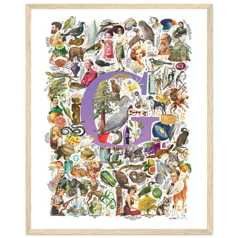 "G is for Great" — a Renard Roux alphabet poster with English G words (purple version)