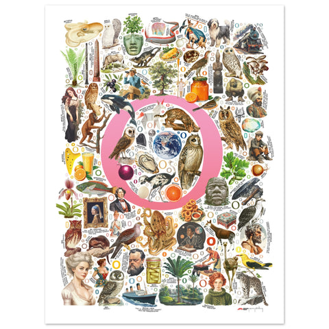 "O is for Original" — a Renard Roux alphabet poster with English O words (pink version)