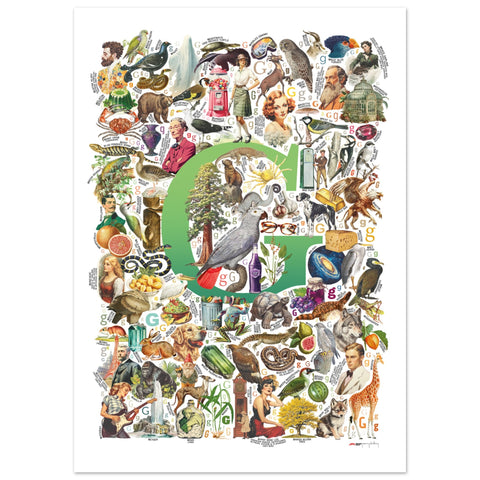 "G is for Great" — a Renard Roux alphabet poster with English G words (green version)