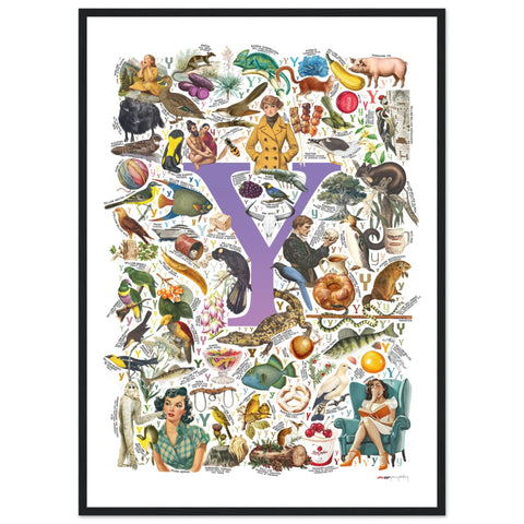 "Y is for Yonder" — a Renard Roux alphabet poster with English Y words (purple version)