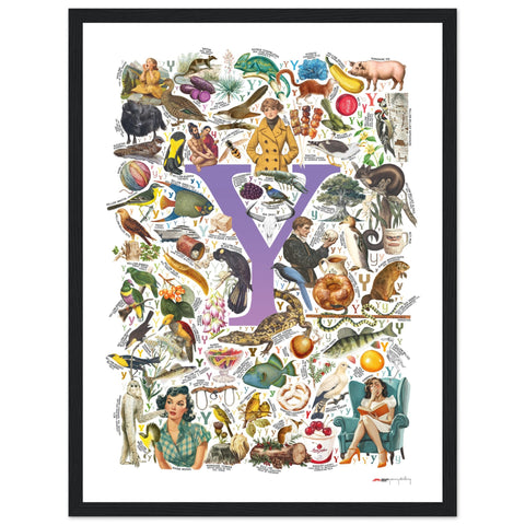 "Y is for Yonder" — a Renard Roux alphabet poster with English Y words (purple version)