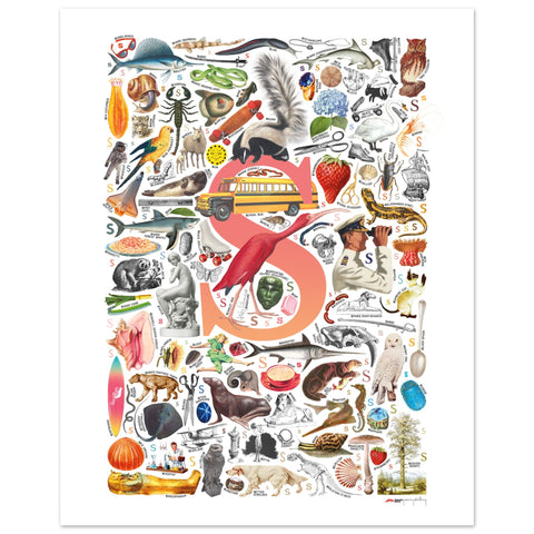 "S is for Surprise" — a Renard Roux alphabet poster with English S words (red version)