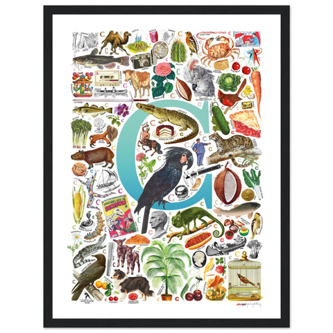 "C is for Curious" — a Renard Roux alphabet poster with English C words (turquoise version)