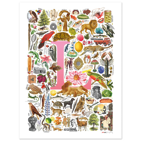 "L is for Learning" — a Renard Roux alphabet poster with English L words (pink version)