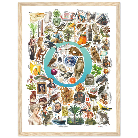 "O is for Original" — a Renard Roux alphabet poster with English O words (turquoise version)