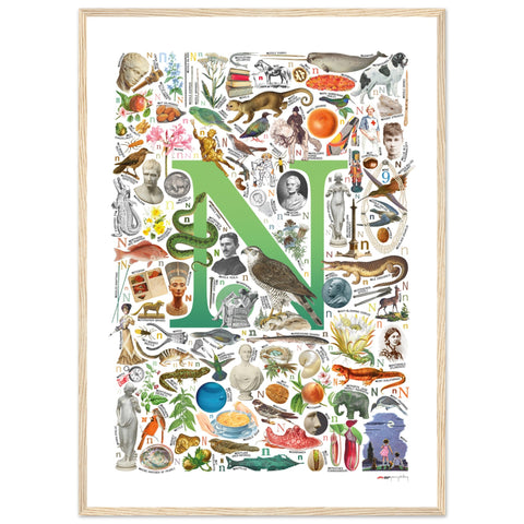 "N is for Nature" — a Renard Roux alphabet poster with English N words (green version)