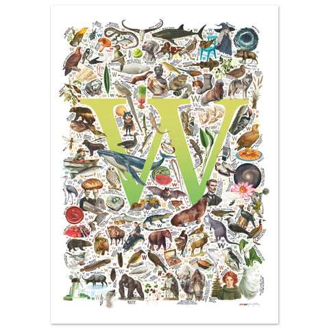"W is for Wonder" — a Renard Roux alphabet poster with English W words (chartreuse version)
