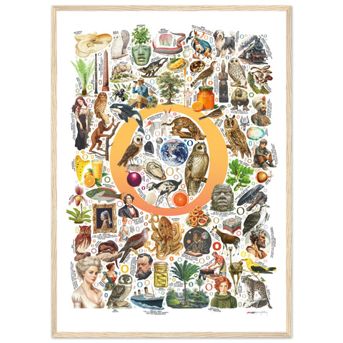 "O is for Original" — a Renard Roux alphabet poster with English O words (yellow version)