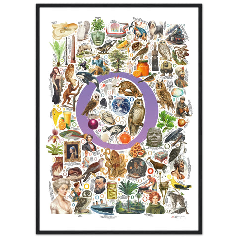 "O is for Original" — a Renard Roux alphabet poster with English O words (purple version)