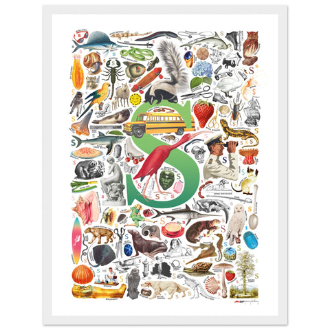 "S is for Surprise" — a Renard Roux alphabet poster with English S words (green version)