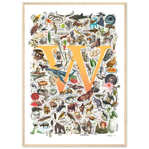 "W is for Wonder" — a Renard Roux alphabet poster with English W words (yellow version)