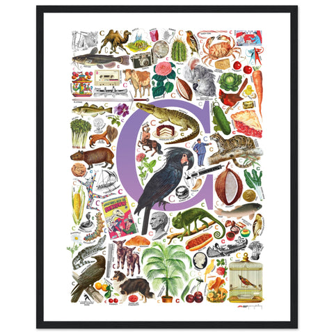 "C is for Curious" — a Renard Roux alphabet poster with English C words (purple version)