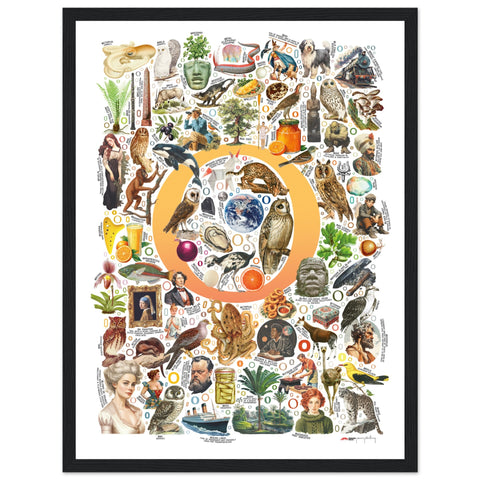"O is for Original" — a Renard Roux alphabet poster with English O words (yellow version)