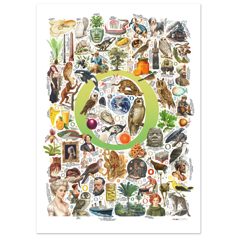 "O is for Original" — a Renard Roux alphabet poster with English O words (chartreuse version)