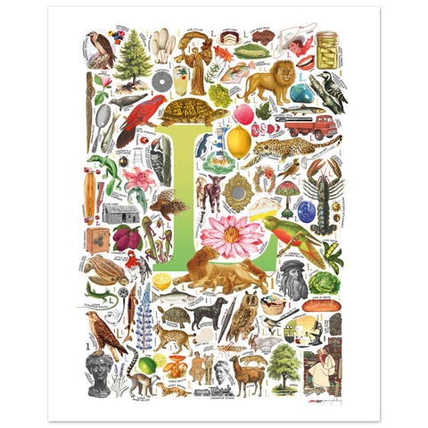 "L is for Learning" — a Renard Roux alphabet poster with English L words (chartreuse version)