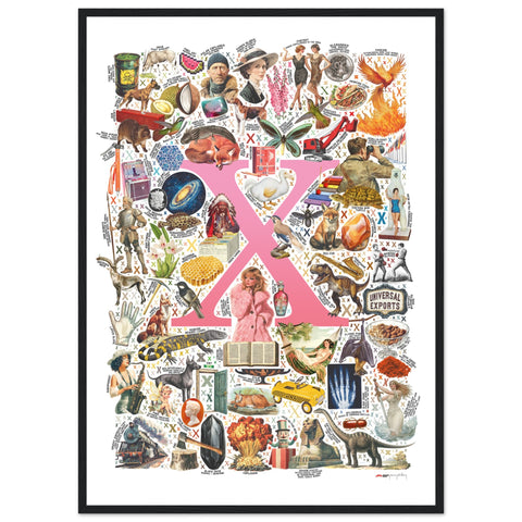 "X is for Xanadu" — a Renard Roux alphabet poster with English X words (pink version)
