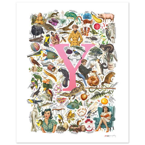 "Y is for Yonder" — a Renard Roux alphabet poster with English Y words (pink version)